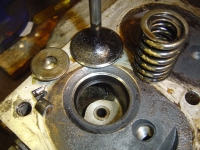  extracted an inlet valve for a check